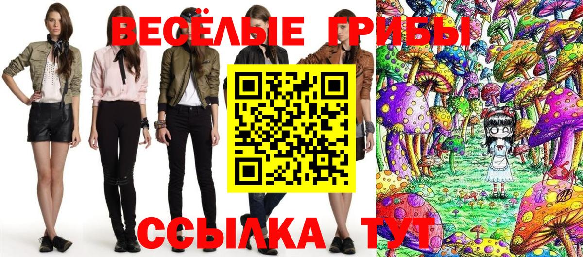 Псилоцибиновые грибы Cubensis  Вход с VPN  Галлюциногенные грибы GOLDEN TEACHER  Александров 